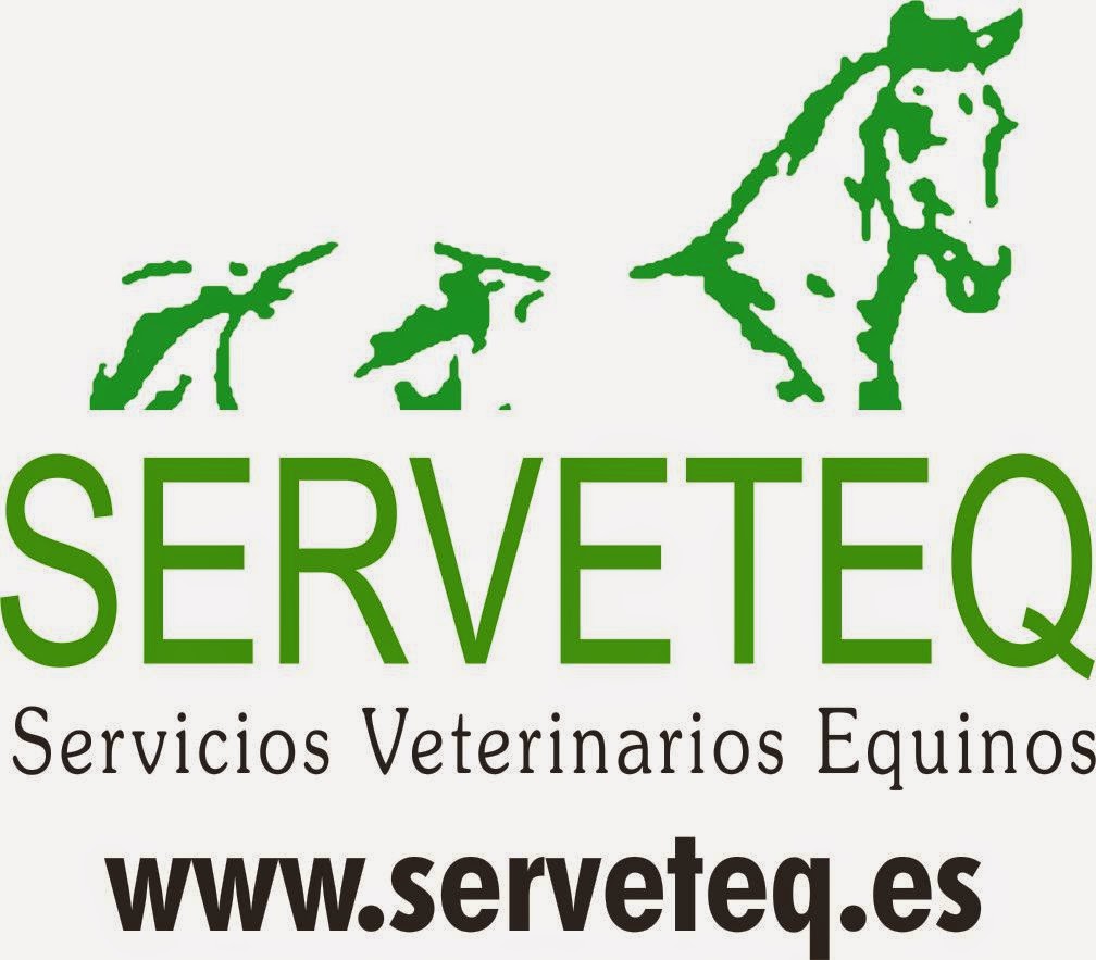 Serveteq — Caballo