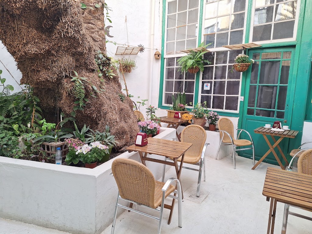 EL Jardin Secreto Arrecife — Ambiente