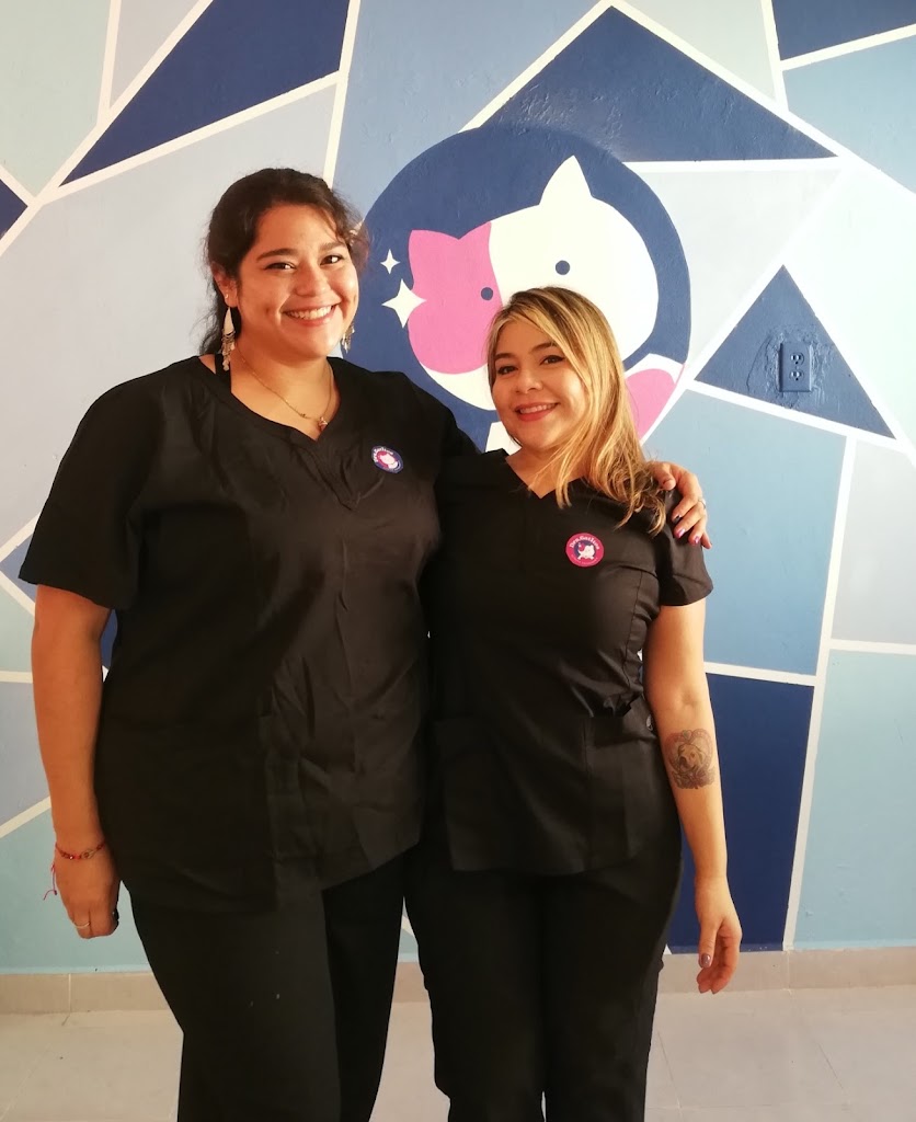 Clinica Veterinaria Dra. Gatitos — Del propietario