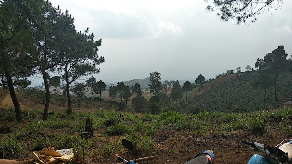 Buper Kanaga Cipulus