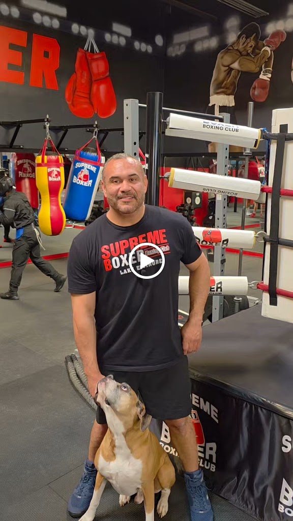  Supreme Boxer Boxing Club