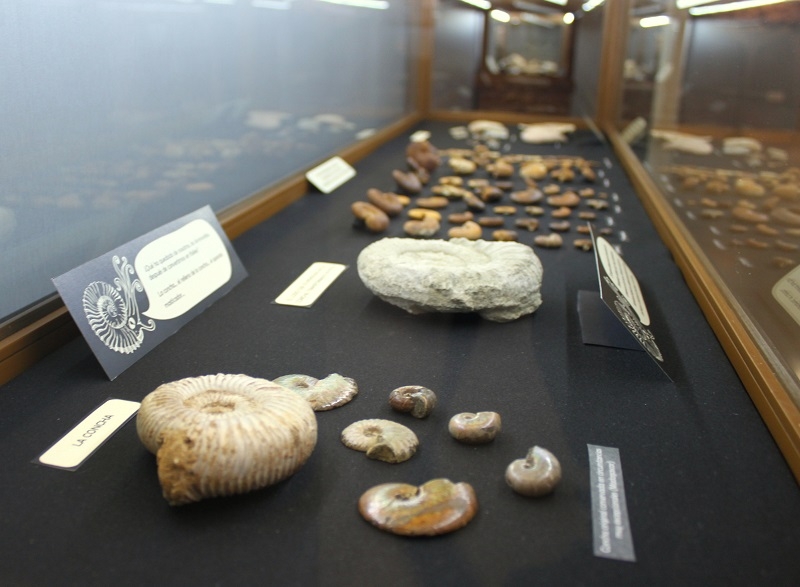 Centro de Interpretacion "Cabra Jurasica"