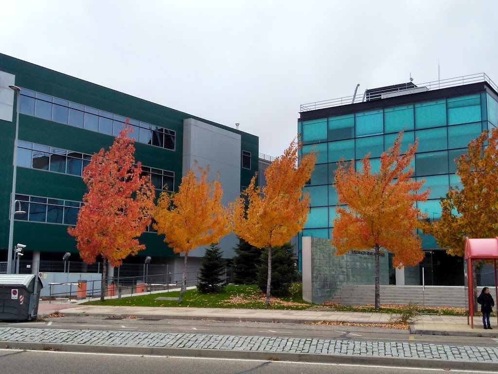 Volkswagen Financial Services (VWFS) Espana --> Volkswagen Bank GmbH, Sucursal en Espana