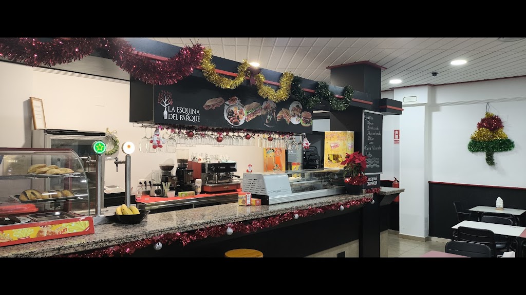 Salteneria Dna Martha