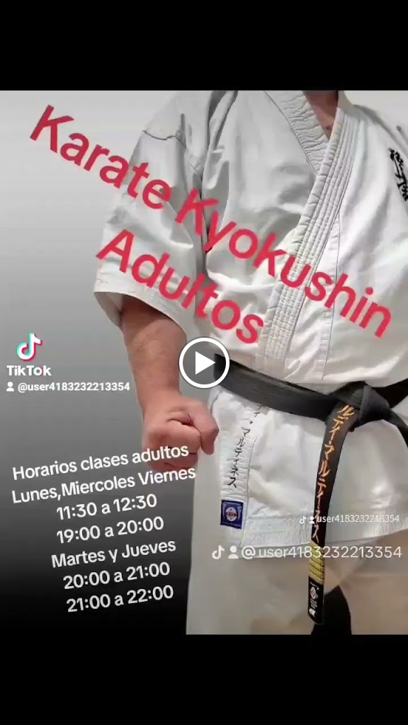 Bushikai Dojo karate Kyokushin — Arte marcial
