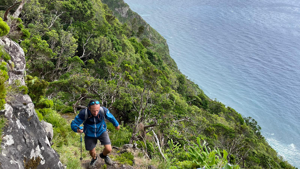 Centro De Fisioterapia Deportiva Y Medicina Hiperbarica Mare
