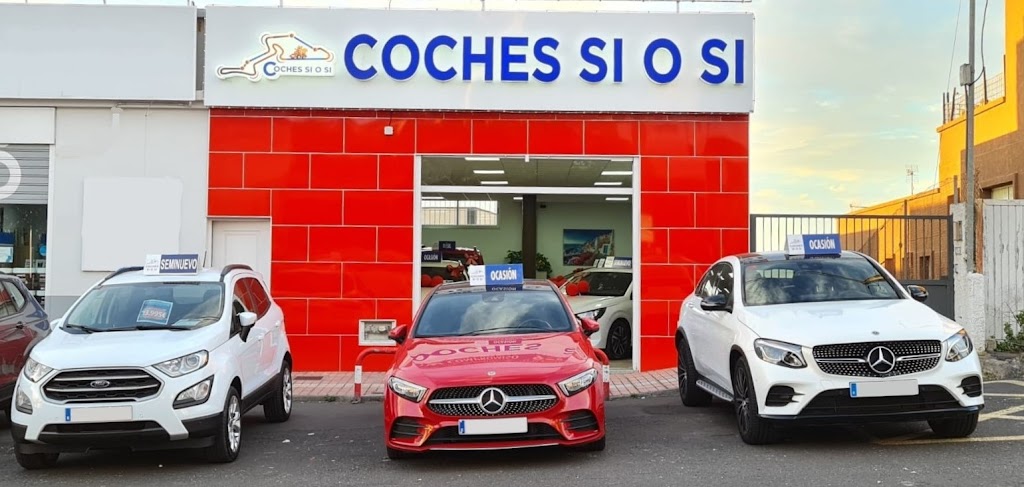 Coches Si o Si