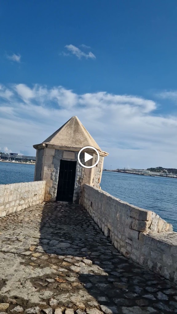 Placoleta de la Torre