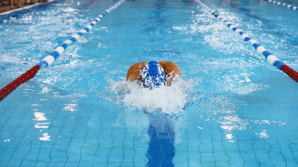 SSV Berliner Haie e.V. - Schwimmschulen Berlin