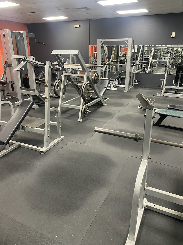  Forza Amelia Fitness