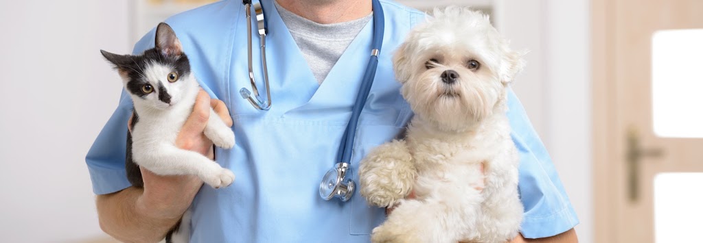 Clinica Veterinaria La Rosa — Del propietario