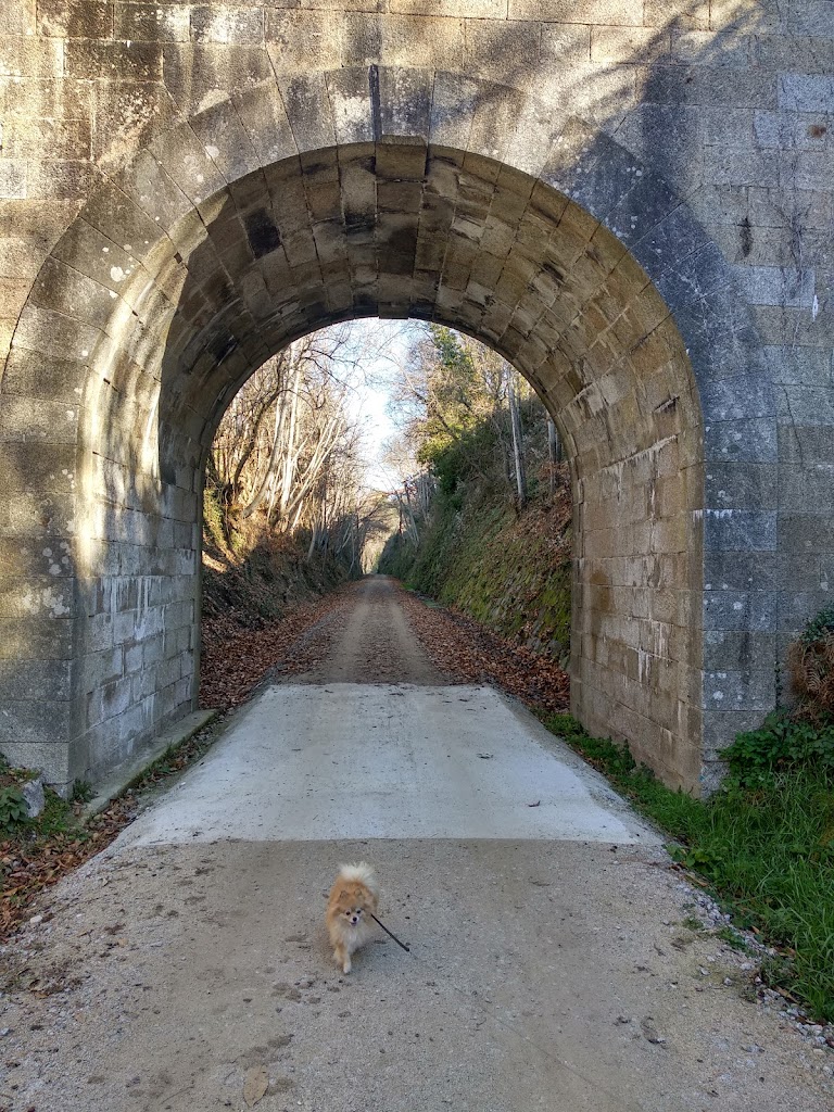 Colegio Publico Ruta de la Plata