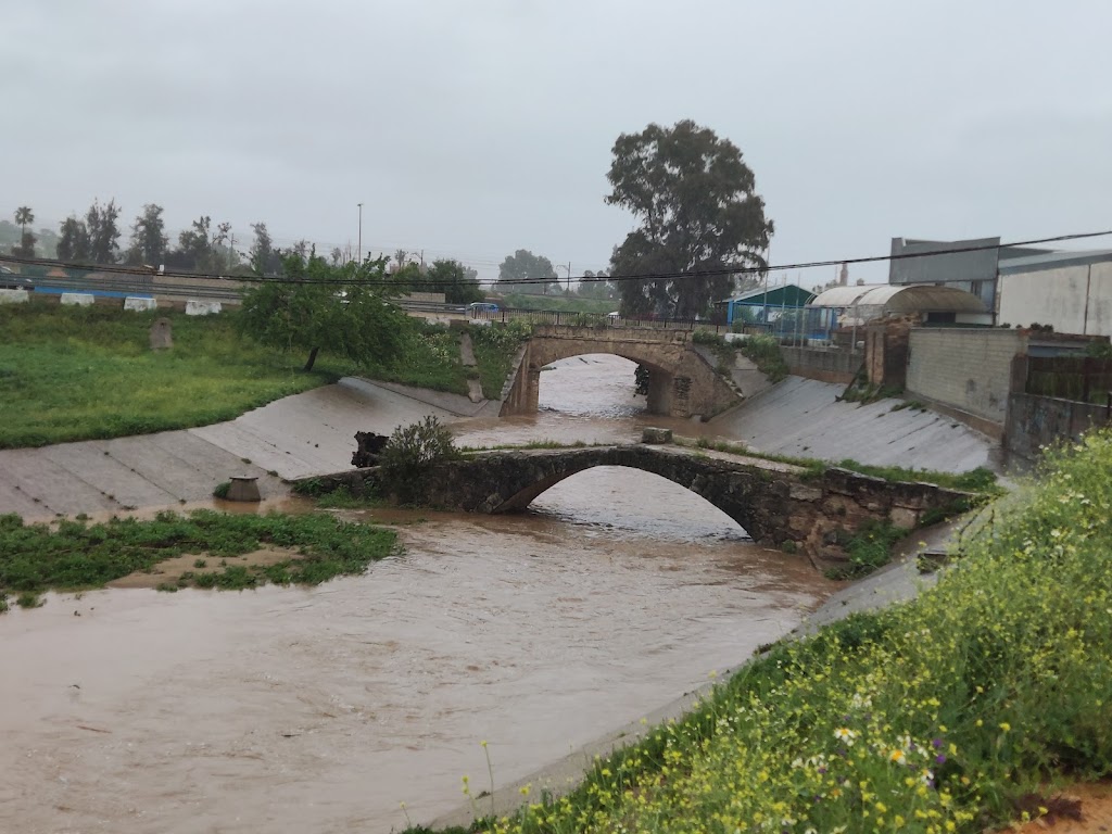 Molino fluvial acenas Lora del Rio