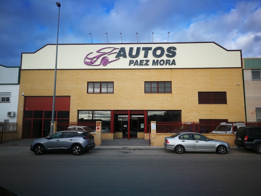 Autos Paez Mora — Todas