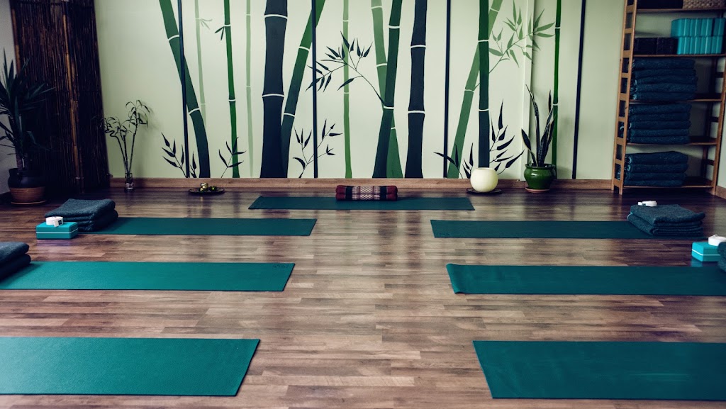Minerva Yoga — Del propietario