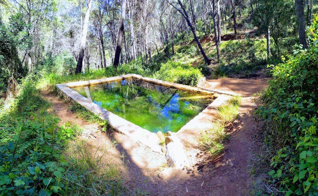 Fuente de la Piedra