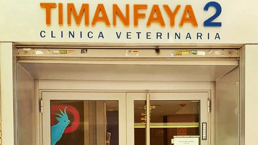 CLINICA VETERINARIA TIMANFAYA 2. Grunvet Servicios Veterinarios SLP