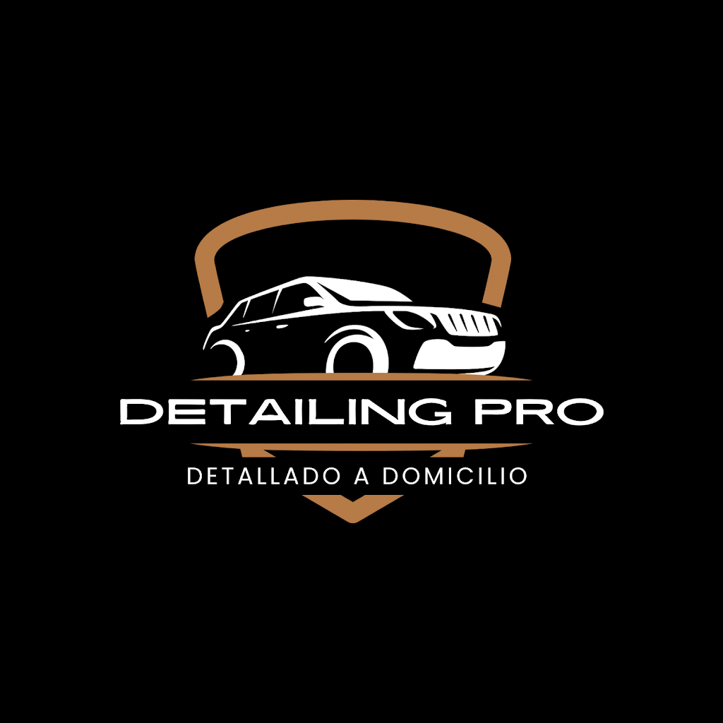 Detailing Pro