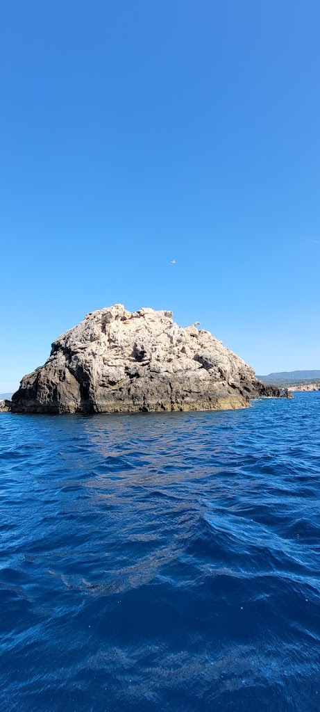 NAUTICALL IBIZA | Gestion Integral Nautica | Alquiler de Barcos en Santa Eulalia