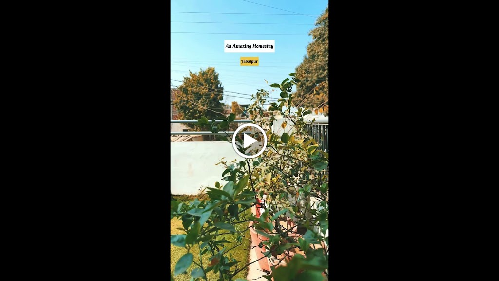 Videos