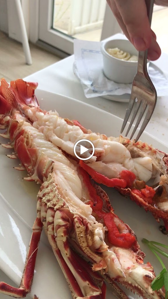 Restaurante Fernando — Videos