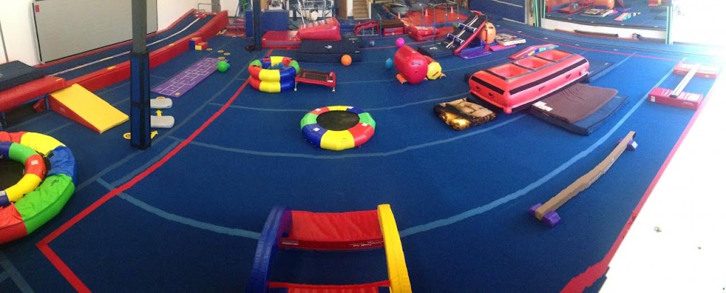  Twisters Gymnastics and Kelle's Gym 2.0