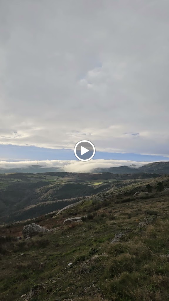 ARGI — Videos