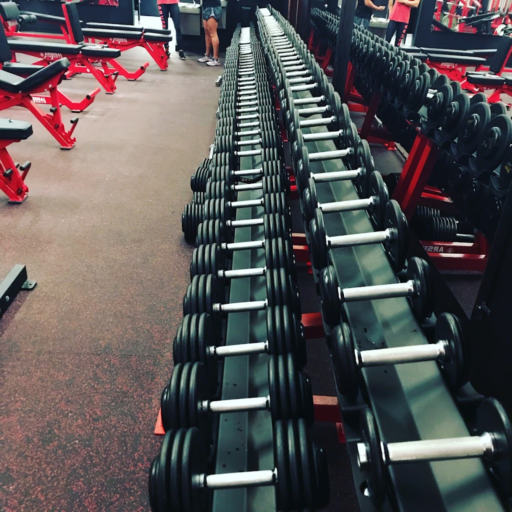  Gods of Iron Pro Gym