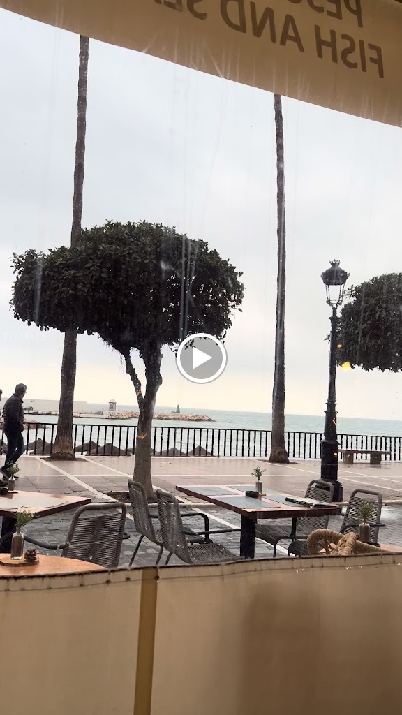 Maraboo Marbella — Videos
