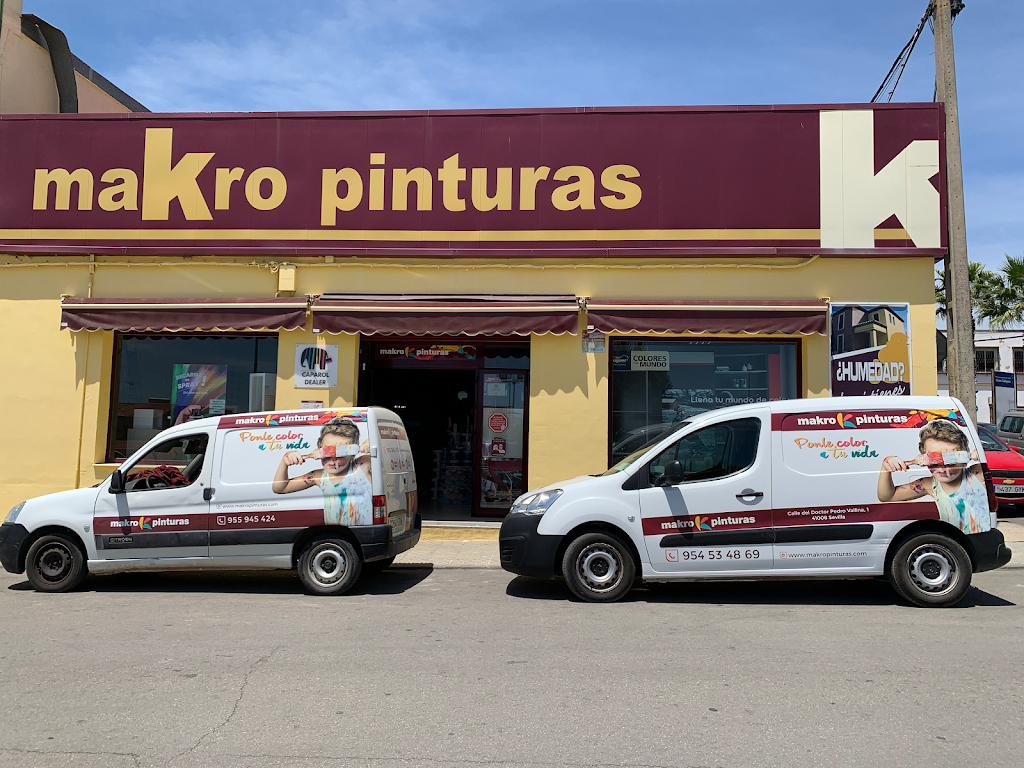 Makro Pinturas