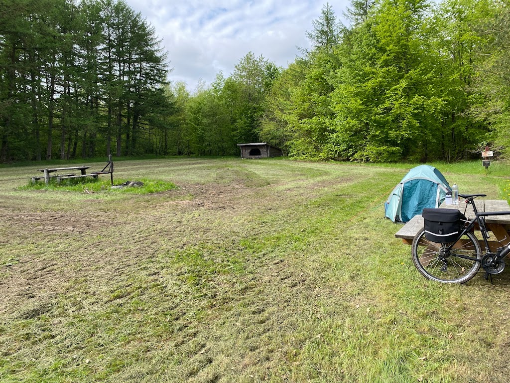 Palsgard Forest, primitive accommodation near Torup So