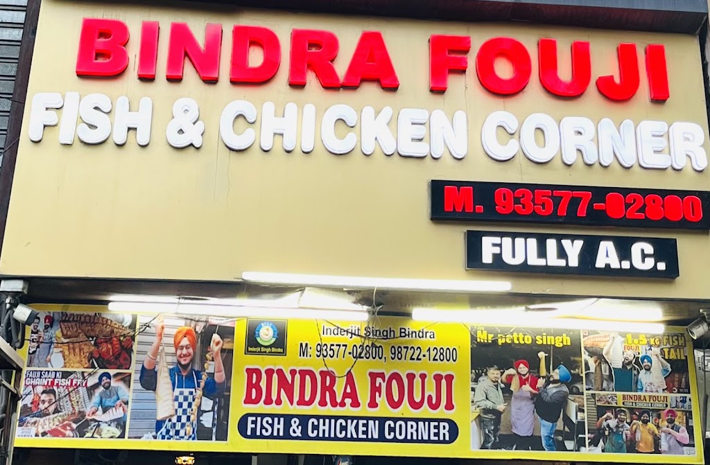 Ludhiana Fish Chicken Corner