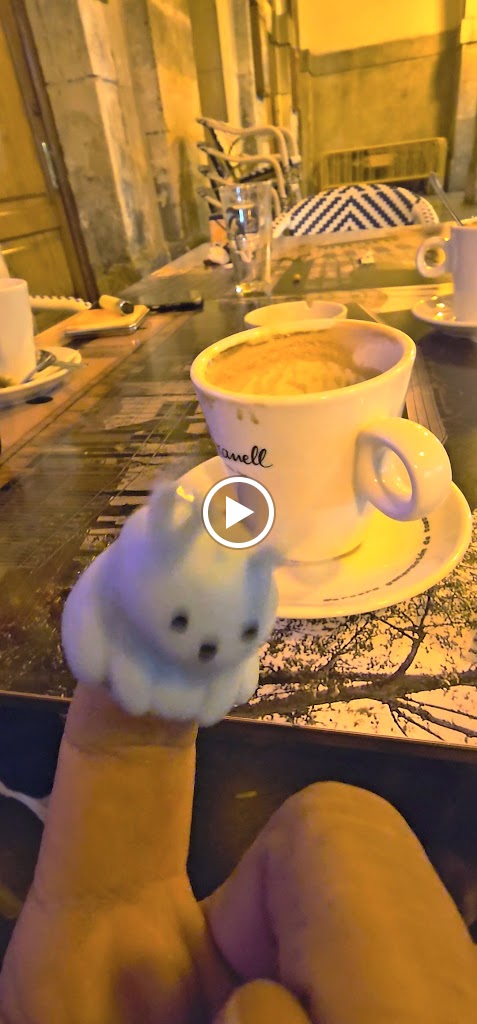 Cerveceria Els Porxets — Videos