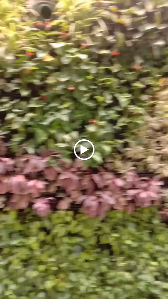 Videos