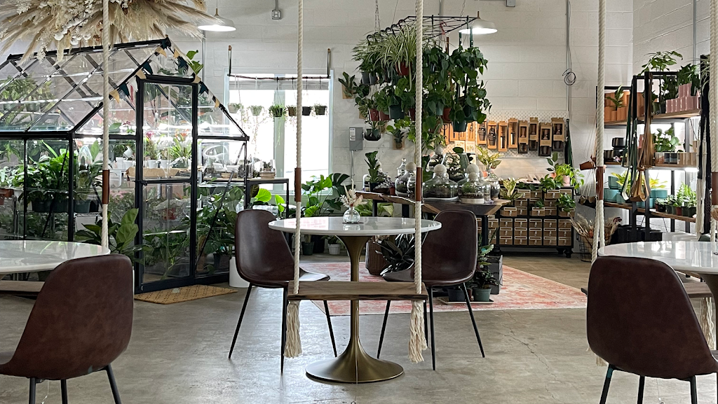 Photo of Dandy Lion Coffee Co.
