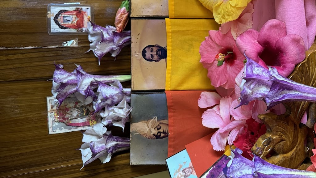 Dr. Rsv Healthcare Barrackpore And Dr Pranab Kumar Biswas