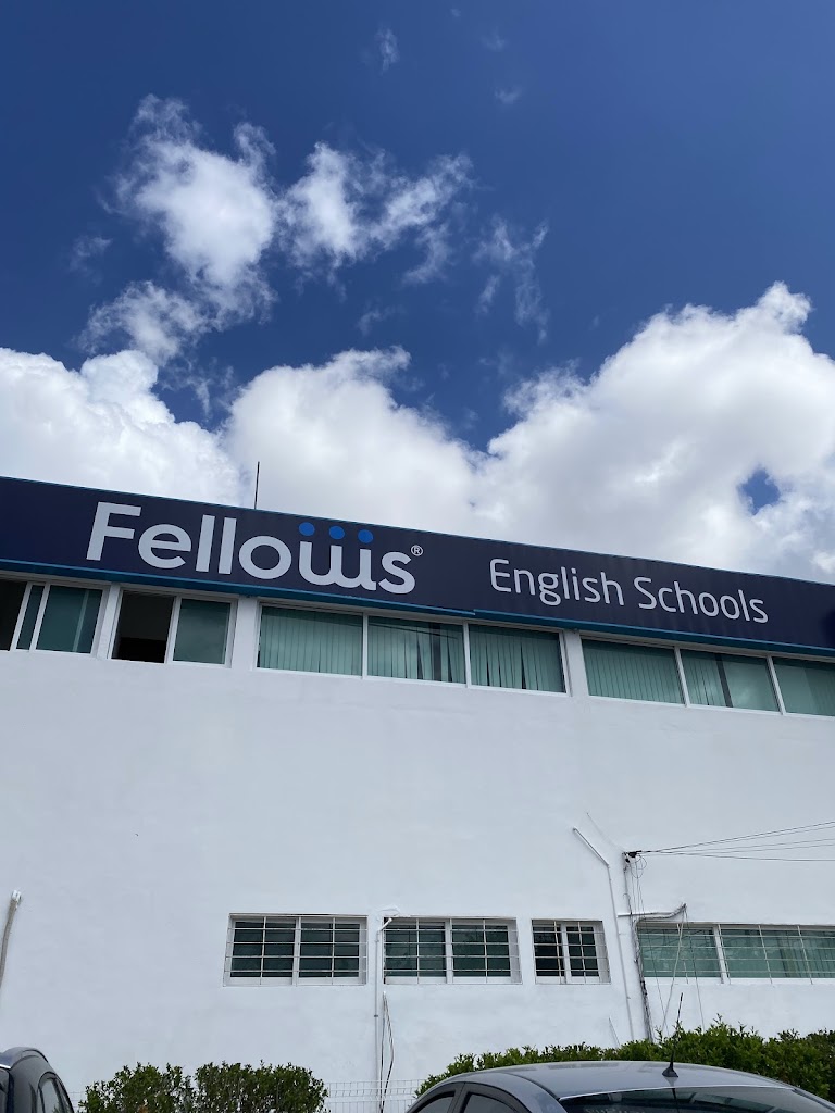 Fellows Zona Dorada