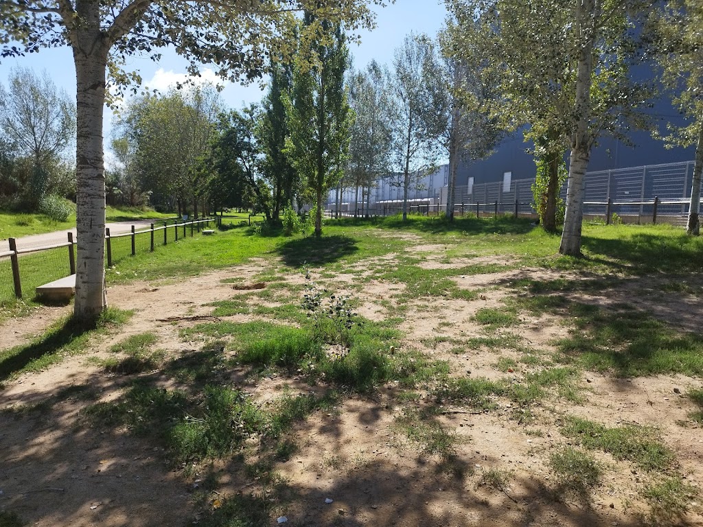 Area per gossos (pipican)