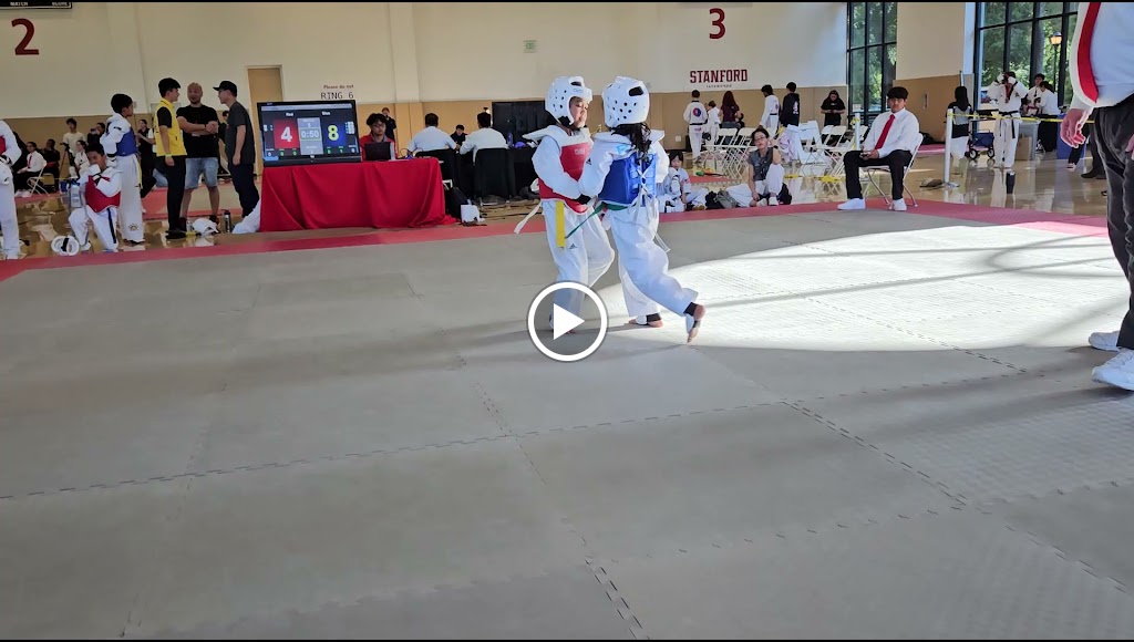  PURE TAEKWONDO