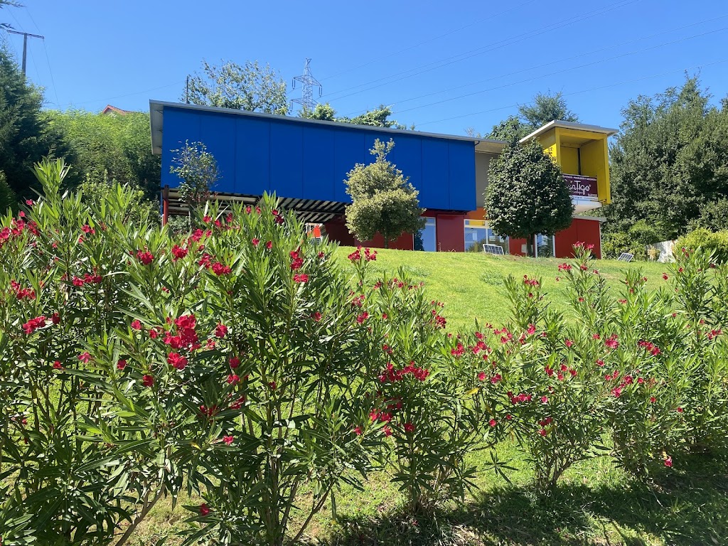 CerTIgo - Crecer Contigo