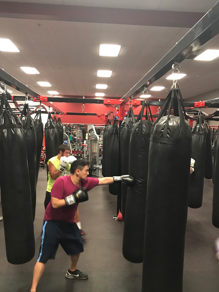  Webb Fitness and MMA