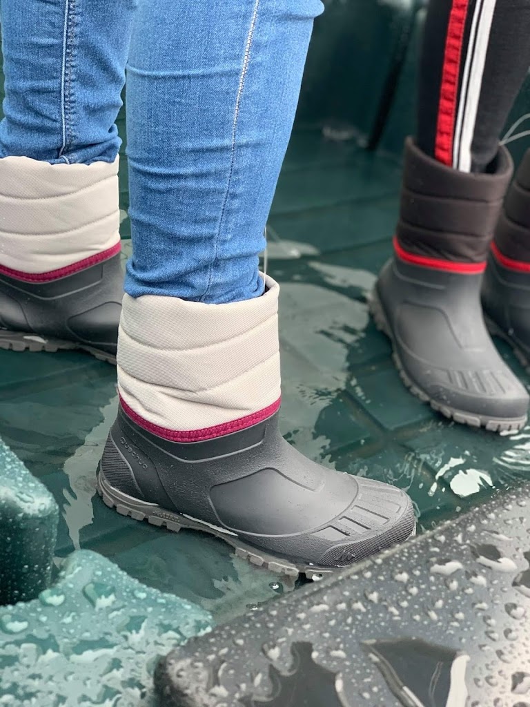 Shoe