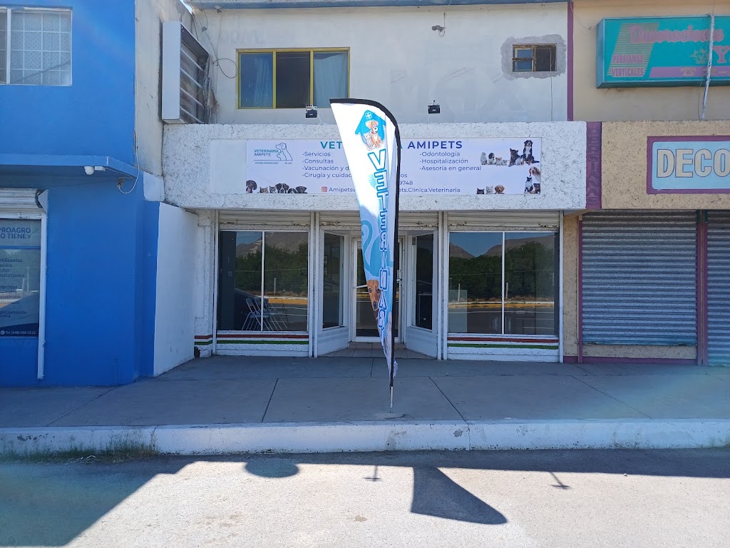 Amipets Clinica Veterinaria — Del propietario