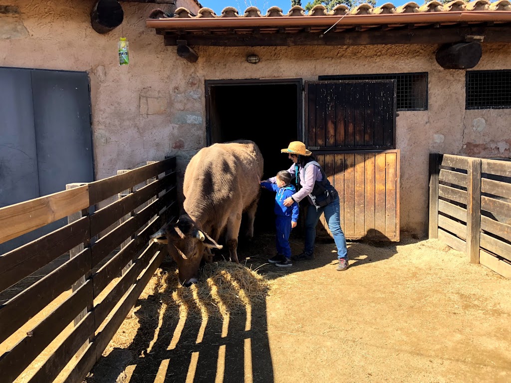 Museu D'Eines del Camp