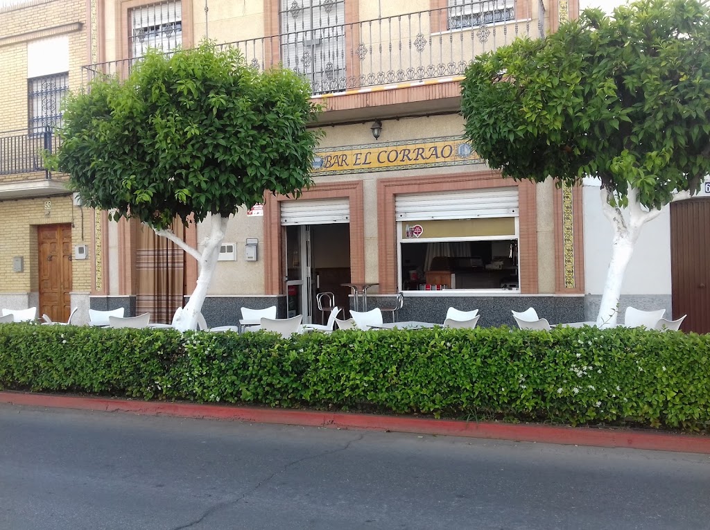 Bar El Rincon Der Kin — Del propietario