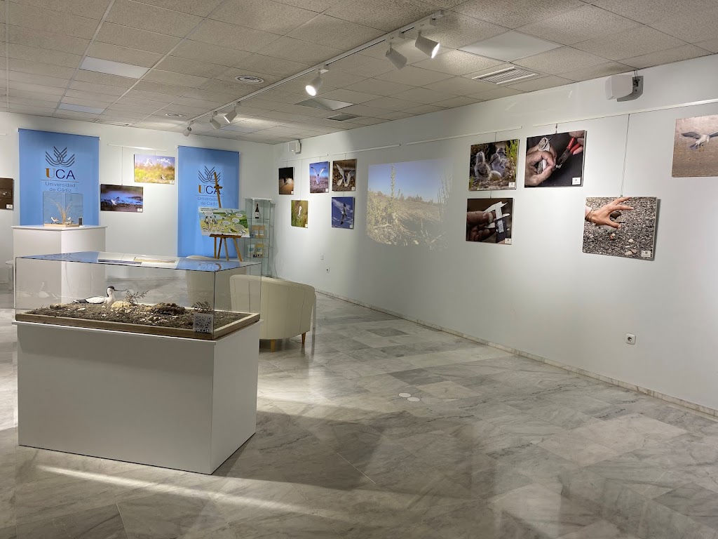 Biblioteca Campus de Jerez. Universidad de Cadiz