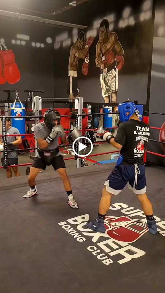  Supreme Boxer Boxing Club
