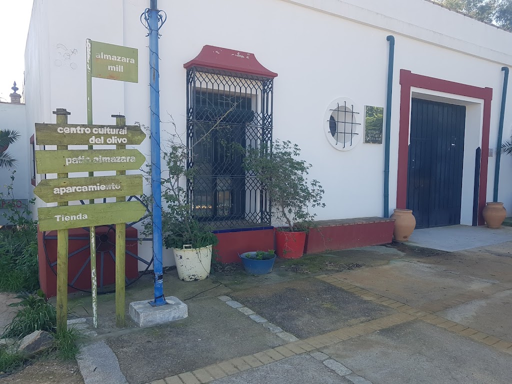 TP Bus El Viso del Alcor, Basilippo Almazaza