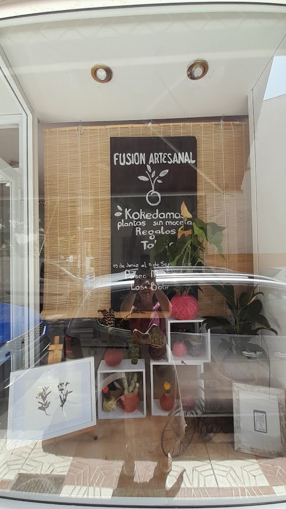 Taller de Ceramica, Ceramics Studio, Pottery Wheel, Alfareria, Plantas Kokedamas, Workshops y Venta. Fusion Artesanal.