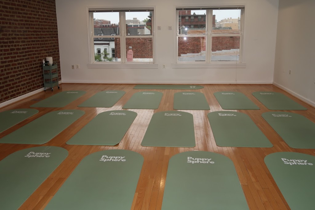  Puppy Sphere | Puppy Yoga (DC)